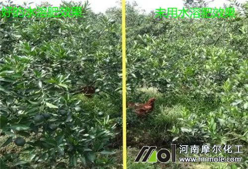 水溶肥試驗(yàn) 水溶肥試驗(yàn)