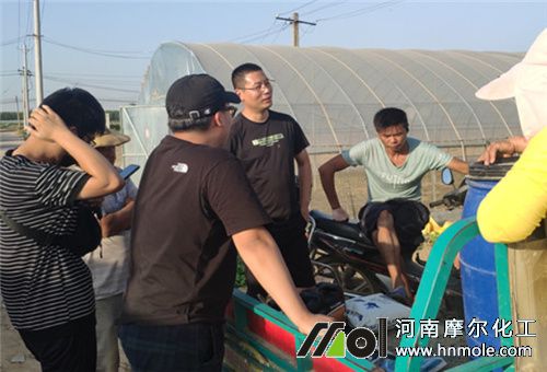 水溶肥廠家調(diào)研 水溶肥廠家調(diào)研