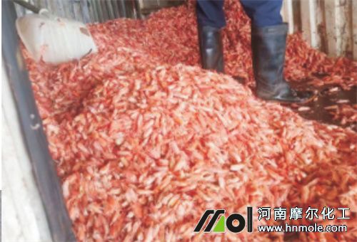 蝦肽原漿好處 蝦肽原漿好處