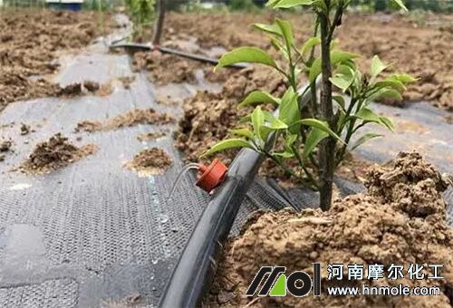 水溶肥不能撒施 水溶肥不能撒施