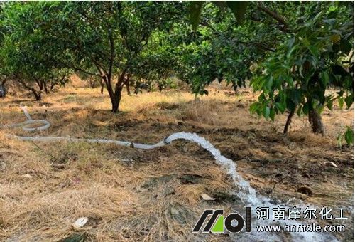 果樹施肥什么水溶肥 果樹施肥什么水溶肥